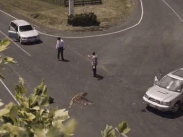 Speed-ad-Mistake-NewZealand