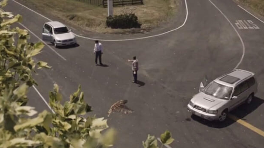 Speed-ad-Mistake-NewZealand
