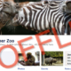 Facebook Kölner Zoo