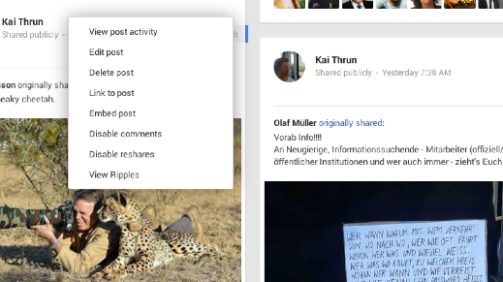 google_plus_embedded
