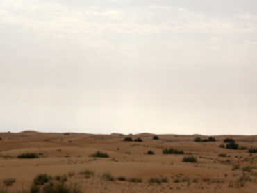 Eine Gruppe Ninjas am Horizont ;)