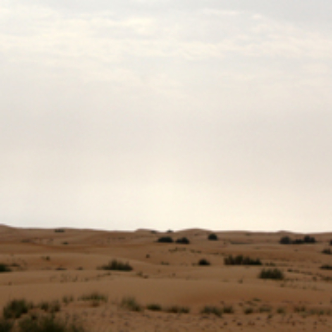 Eine Gruppe Ninjas am Horizont ;)
