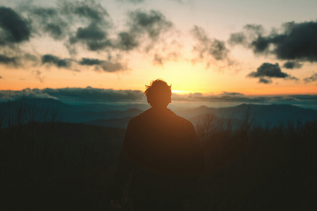 Das Leben der anderen