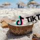 tiktok_nutshell
