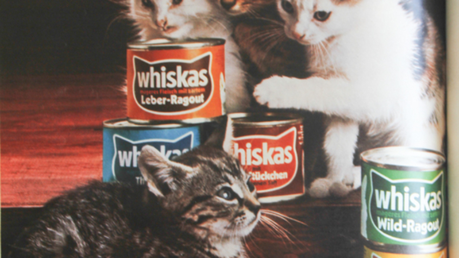 whiskas